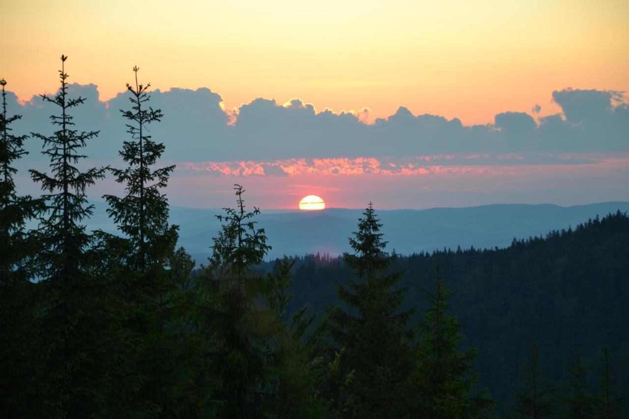 Willa Nad Dunajcem Nowy Targ Habitación foto